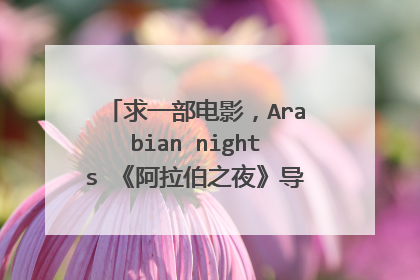 求一部电影，Arabian nights 《阿拉伯之夜》导演：史蒂夫 巴伦