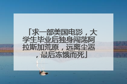 求一部美国电影,大学生毕业后独身闯荡阿拉斯加荒原,远离尘嚣,最后冻饿而死