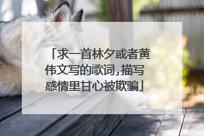 求一首林夕或者黄伟文写的歌词,描写感情里甘心被欺骗