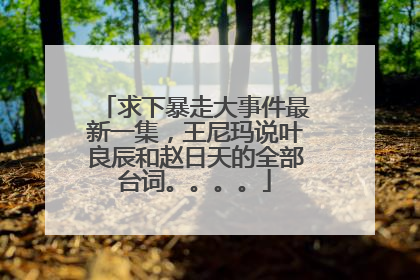 求下暴走大事件最新一集，王尼玛说叶良辰和赵日天的全部台词。。。。