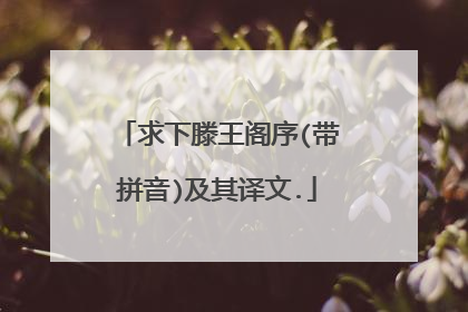 求下滕王阁序(带拼音)及其译文.