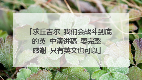 求丘吉尔 我们会战斗到底 的英 中演讲稿 要完整 感谢 只有英文也可以