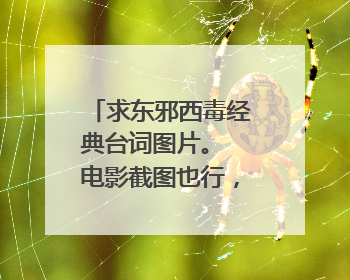 求东邪西毒经典台词图片。 电影截图也行，但有字幕。 求各位大神。