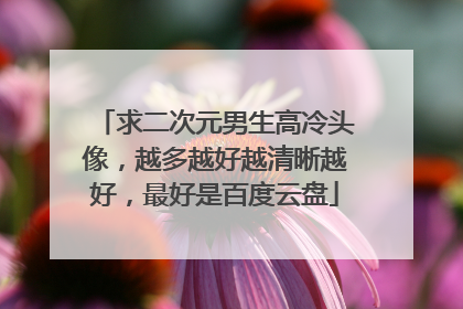 求二次元男生高冷头像,越多越好越清晰越好,最好是百度云盘