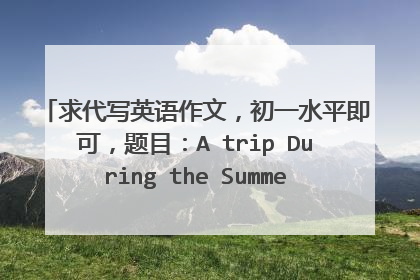 求代写英语作文，初一水平即可，题目：A trip During the Summer Holiday.