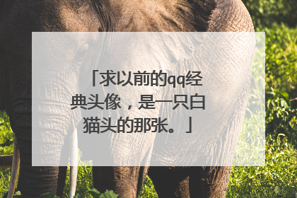 求以前的qq经典头像，是一只白猫头的那张。
