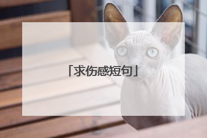 求伤感短句