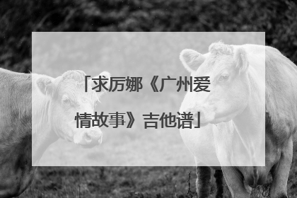 求厉娜《广州爱情故事》吉他谱