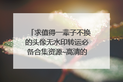 求值得一辈子不换的头像无水印转运必备合集资源~高清的最好，谢谢！！