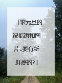 求元旦的祝福语和图片.要有新鲜感的?