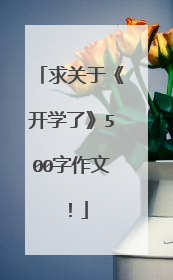 求关于《开学了》500字作文!