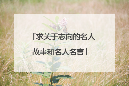 求关于志向的名人故事和名人名言