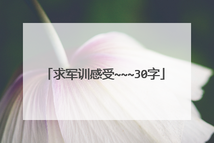求军训感受~~~30字