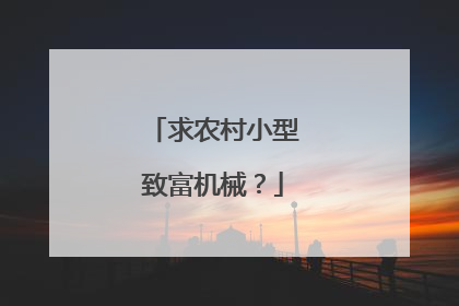 求农村小型致富机械？