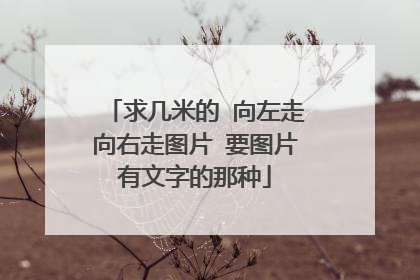 求几米的 向左走向右走图片 要图片有文字的那种