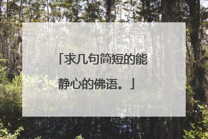 求几句简短的能静心的佛语。