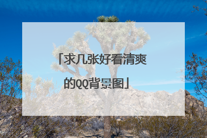 求几张好看清爽的QQ背景图