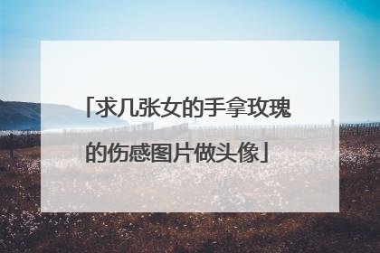 求几张女的手拿玫瑰的伤感图片做头像