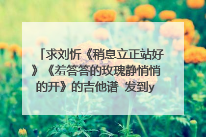 求刘忻《稍息立正站好》《羞答答的玫瑰静悄悄的开》的吉他谱 发到yisansdn@126.com 谢谢啦