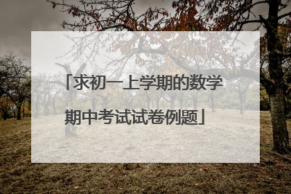 求初一上学期的数学期中考试试卷例题