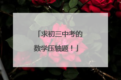 求初三中考的数学压轴题!