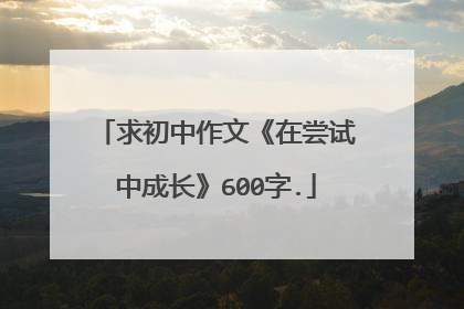 求初中作文《在尝试中成长》600字.
