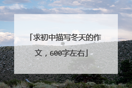 求初中描写冬天的作文，600字左右