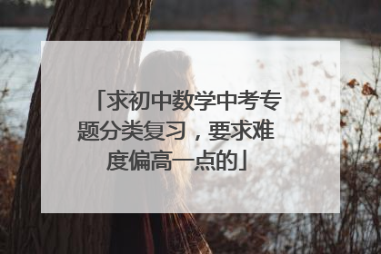 求初中数学中考专题分类复习,要求难度偏高一点的