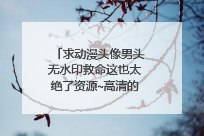 求动漫头像男头无水印救命这也太绝了资源~高清的最好,谢谢!!