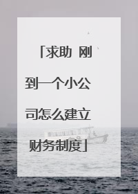 求助 刚到一个小公司怎么建立财务制度