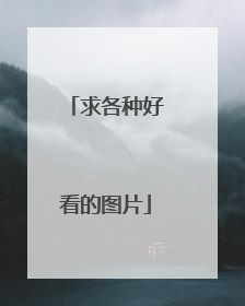 求各种好看的图片