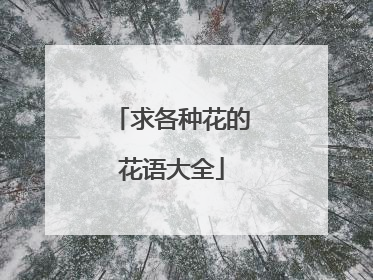 求各种花的花语大全
