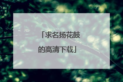 求名扬花鼓的高清下载