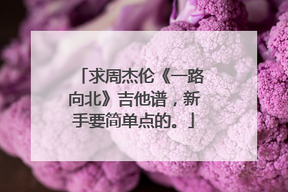 求周杰伦《一路向北》吉他谱，新手要简单点的。