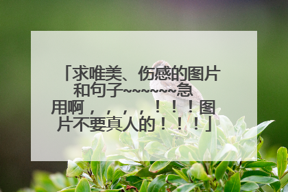 求唯美、伤感的图片和句子~~~~~~急用啊,,,,!!!图片不要真人的!!!