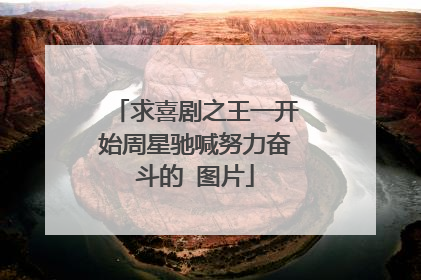 求喜剧之王一开始周星驰喊努力奋斗的 图片