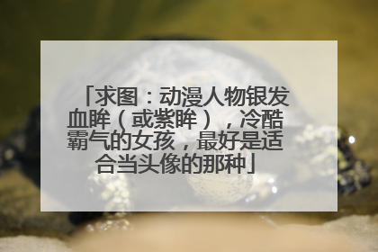 求图:动漫人物银发血眸(或紫眸),冷酷霸气的女孩,最好是适合当头像的那种