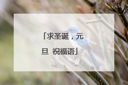 求圣诞,元旦 祝福语