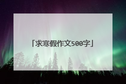求寒假作文500字