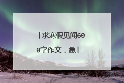求寒假见闻600字作文,急