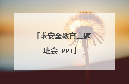 求安全教育主题班会 PPT