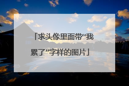 求头像里面带“我累了”字样的图片