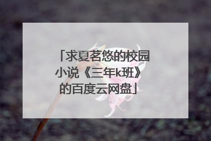 求夏茗悠的校园小说《三年k班》的百度云网盘
