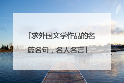 求外国文学作品的名篇名句，名人名言