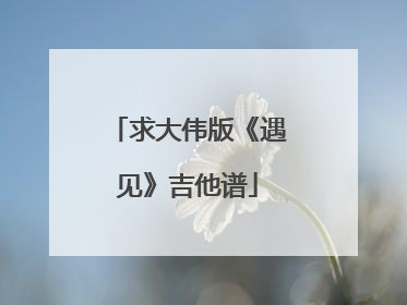 求大伟版《遇见》吉他谱