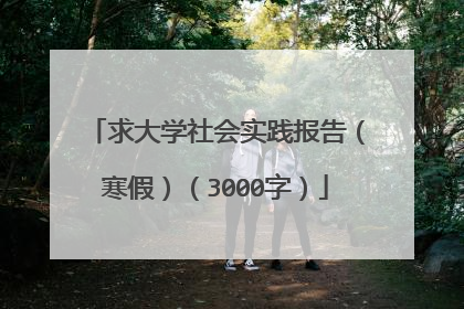 求大学社会实践报告(寒假)(3000字)