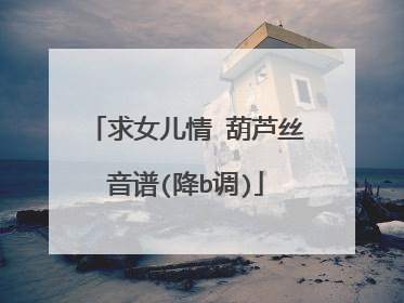 求女儿情 葫芦丝音谱(降b调)