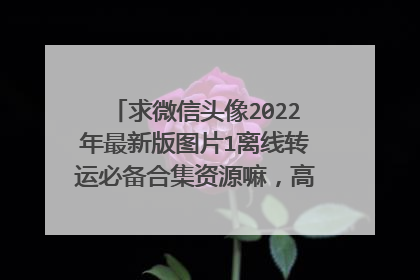 求微信头像2022年最新版图片1离线转运必备合集资源嘛,高清免费谢谢!!