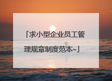 求小型企业员工管理规章制度范本~
