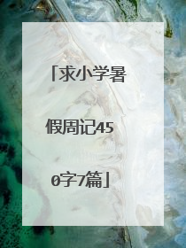 求小学暑假周记450字7篇